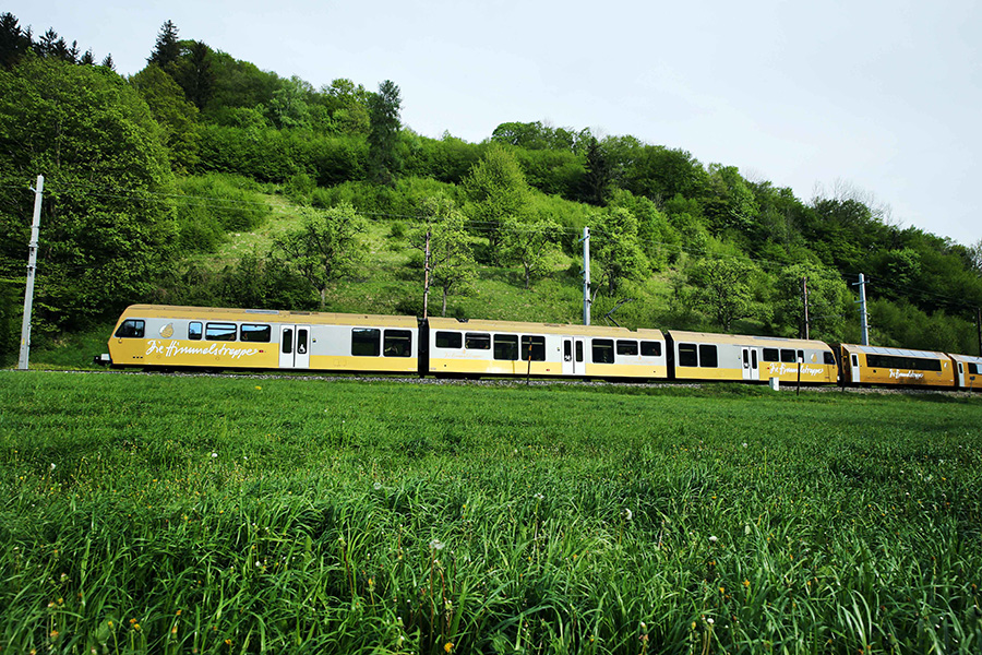 Himmelstreppe vor der Wiese