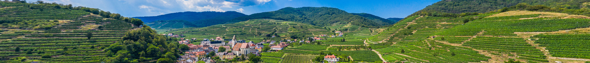 Wachau aus der Vogelperspektive