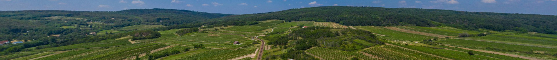 Wachau aus der Vogelperspektive