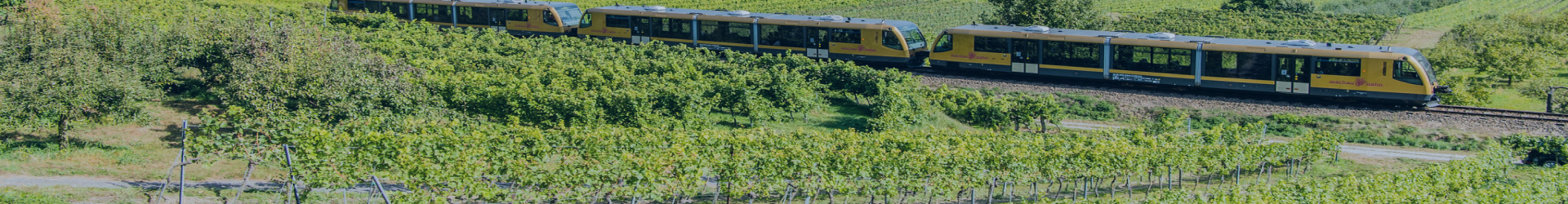 Wachaubahn fährt durch Weinberge