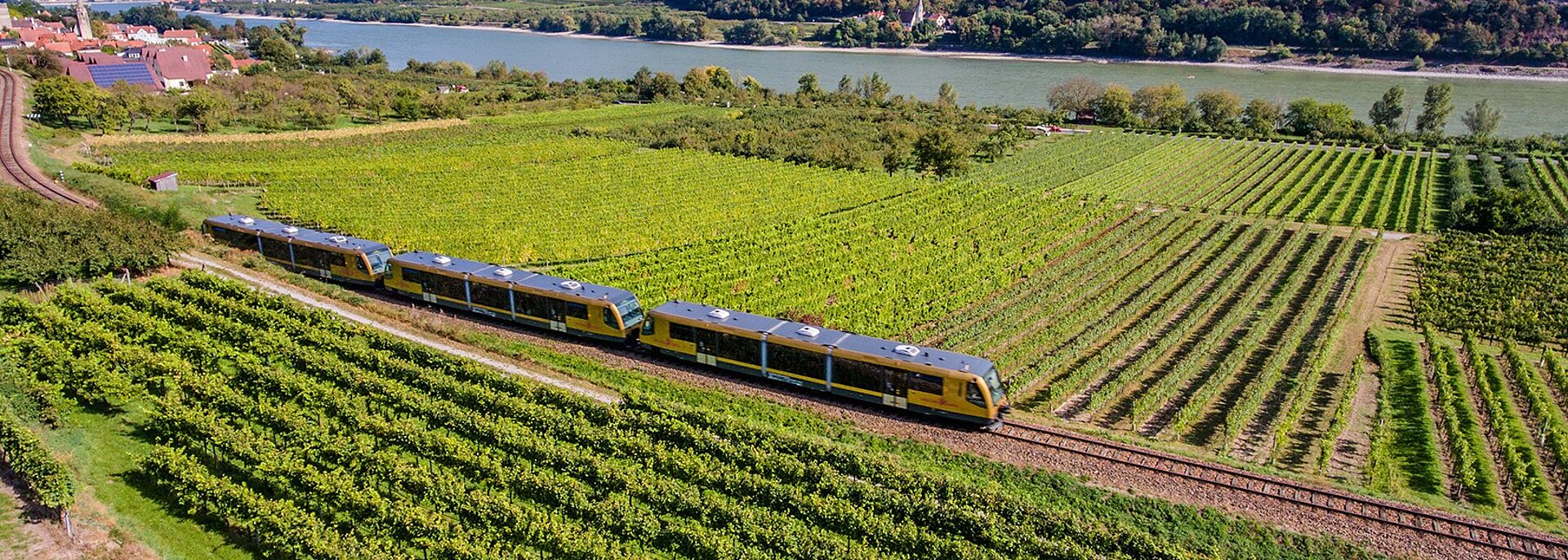 Wachaubahn fährt durch Weinberge