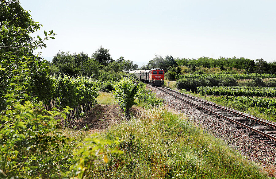 Reblaus Express fährt durch grüne Landschaft