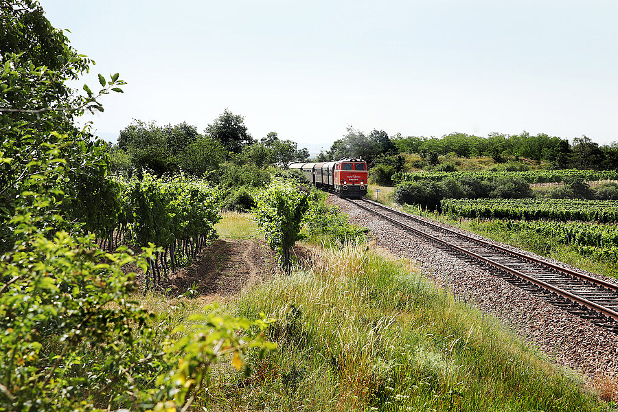 Reblaus Express fährt durch grüne Landschaft