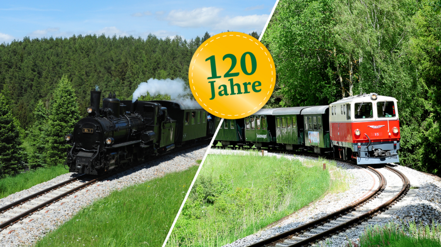 2 Züge auf einem Bild in grüner Landschaft