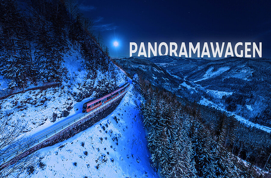 Der Zug fährt bei Nacht durch die Schneelandschaft. Es scheint der Mond.