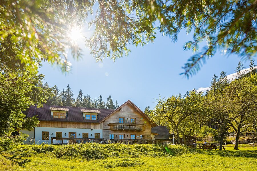 Hengsthütte im Sommer