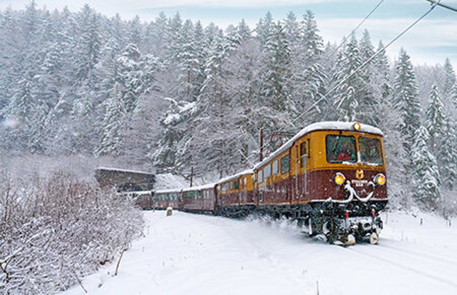 Erlebniszug Ötscherbär