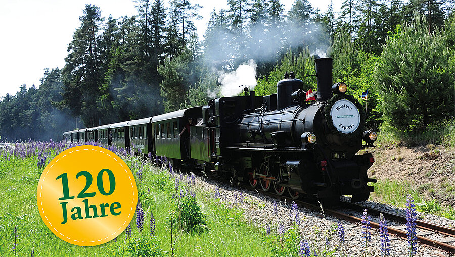 Dampflok fährt durch eine grüne Landschaft aus Wiese und Wald. 