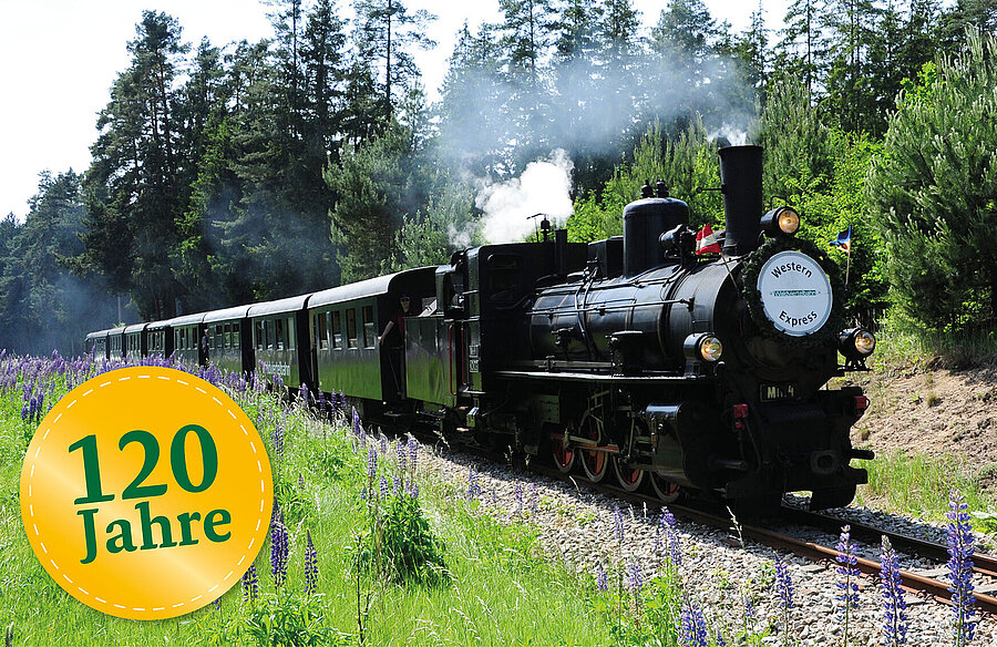 Dampflok fährt durch eine grüne Landschaft aus Wiese und Wald. 