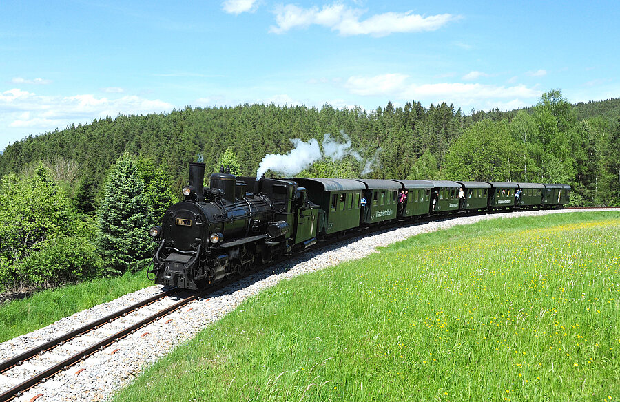 Dampfzug fährt neben Wiese und Wald