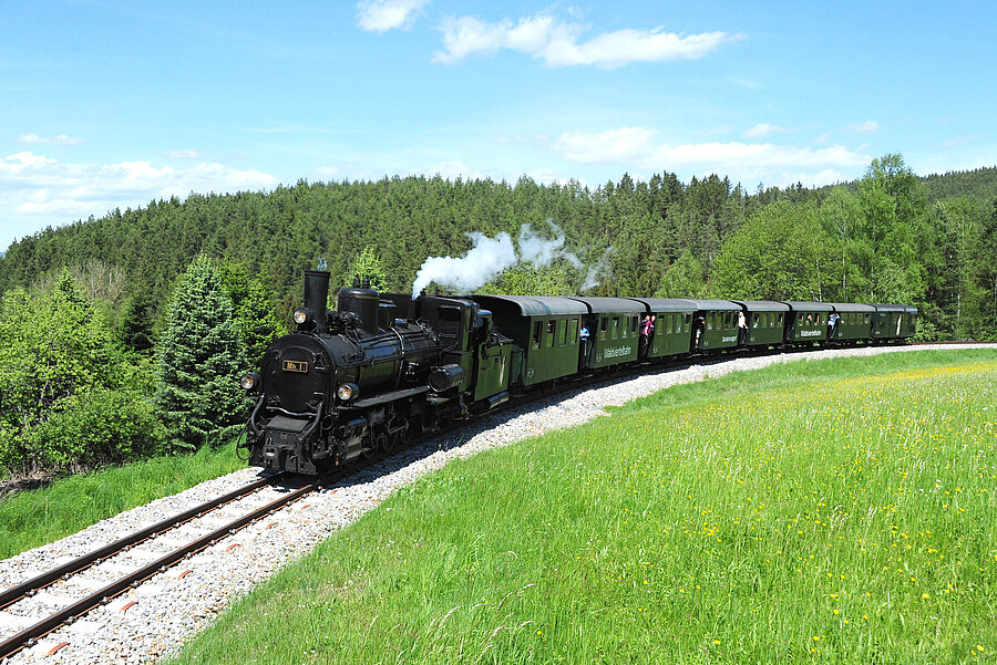 Dampfzug fährt neben Wiese und Wald