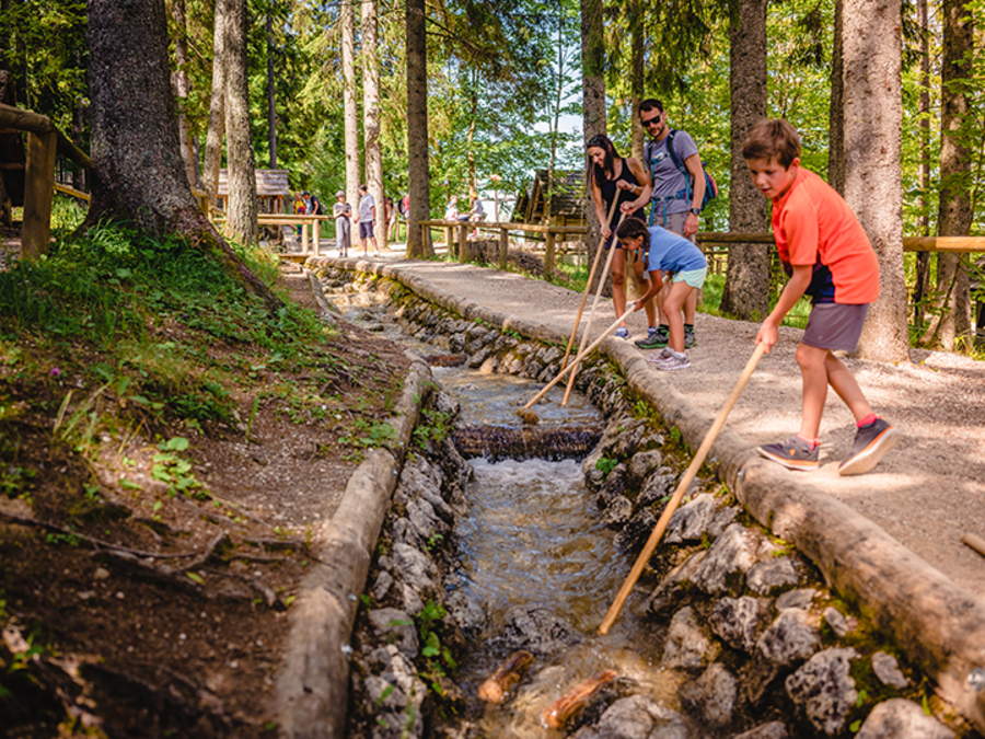 Familie mit Kindern spielt an einem kleinen Bach im Wald und lenkt Wasser mit Holzstöcken.