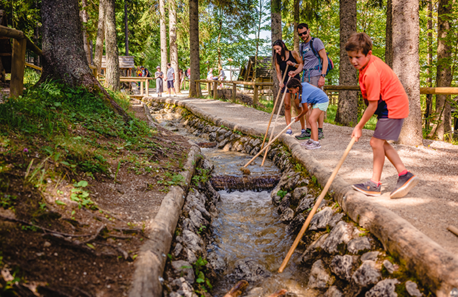 Mariazellerbahn und Bürgeralpe