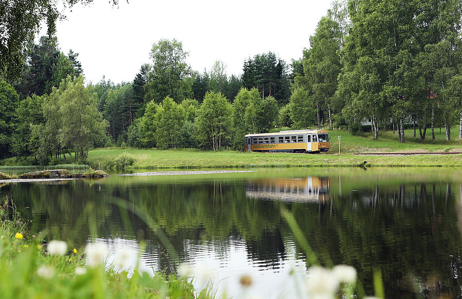 Goldener Dieseltriebwagen | Gmünd - Litschau