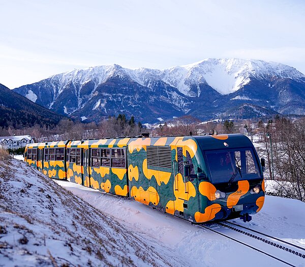 Salamander-Zug im Schnee