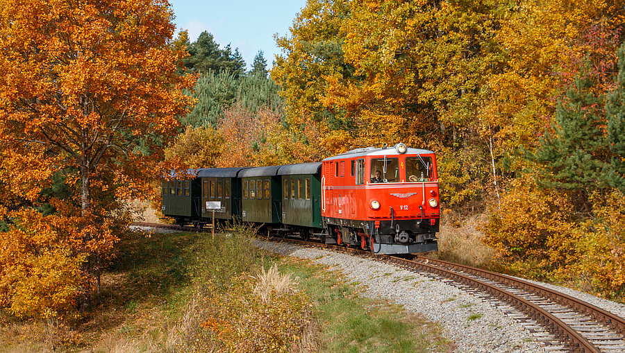 Der Dieselnostalgiezug der Waldviertelbahn fährt durch eine herbstliche Landschaft
